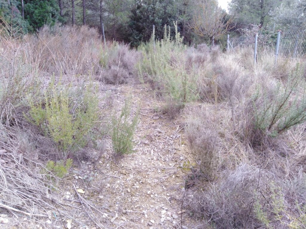 Foto terreno urbano en venta en el pont de vilomara (river park)