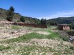 Foto9
