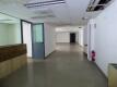 Foto8