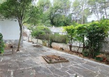 Foto35