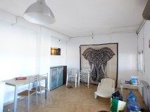 Foto8