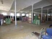Foto8
