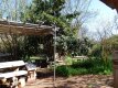 Foto20