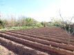 Foto31