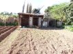 Foto33