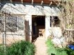 Foto34