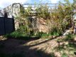 Foto35