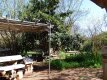 Foto4