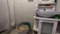 Foto33