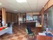 Foto6