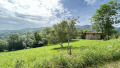 Foto6
