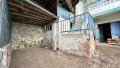 Foto5