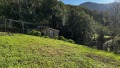 Foto10