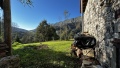 Foto5