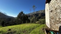Foto7
