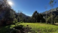 Foto30