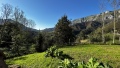 Foto31