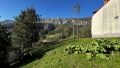Foto33
