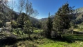 Foto34
