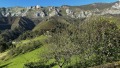 Foto36