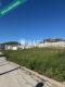 Foto8