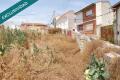 Foto8