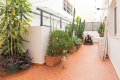 Foto5