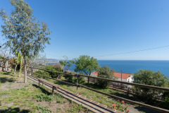 Foto51