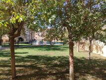 Foto44