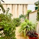 Foto6