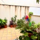 Foto7