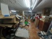 Foto31