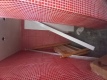 Foto33