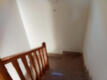 Foto7