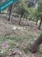 Foto3