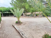 Foto41