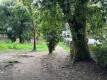 Foto42