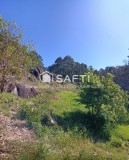 Foto39