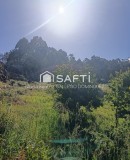 Foto42