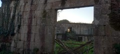 Foto8