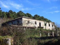 Foto1