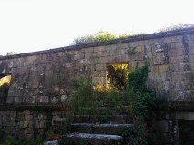 Foto5