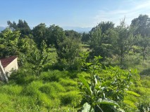 Foto31