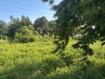 Foto19