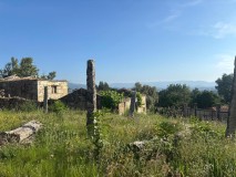 Foto7