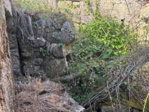 Foto15