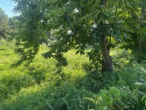 Foto18