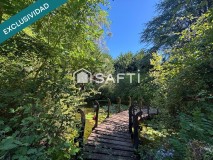 Foto62