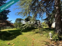 Foto53