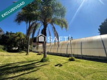 Foto46